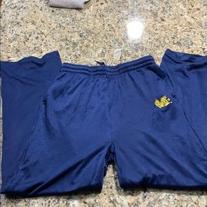 U of Michigan Athletic/Training Pants | Inseam 26”